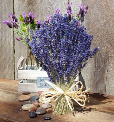 Lavender flowers