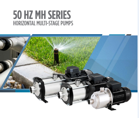 Horizontal pump