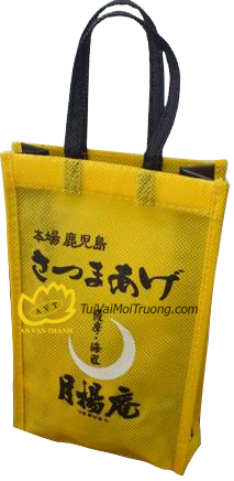 DVD bag
