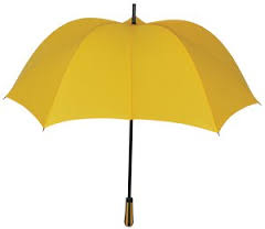 Hand umbrella