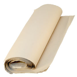 Insoles paper