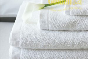 Spa towel