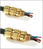 Cable gland