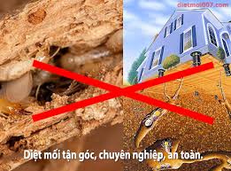 Pest Control Service