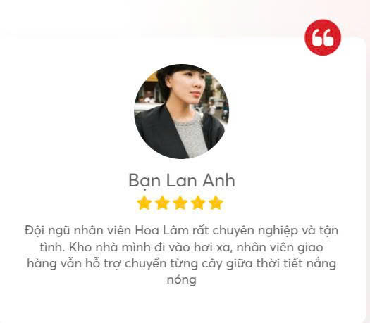 Customer testimonial
