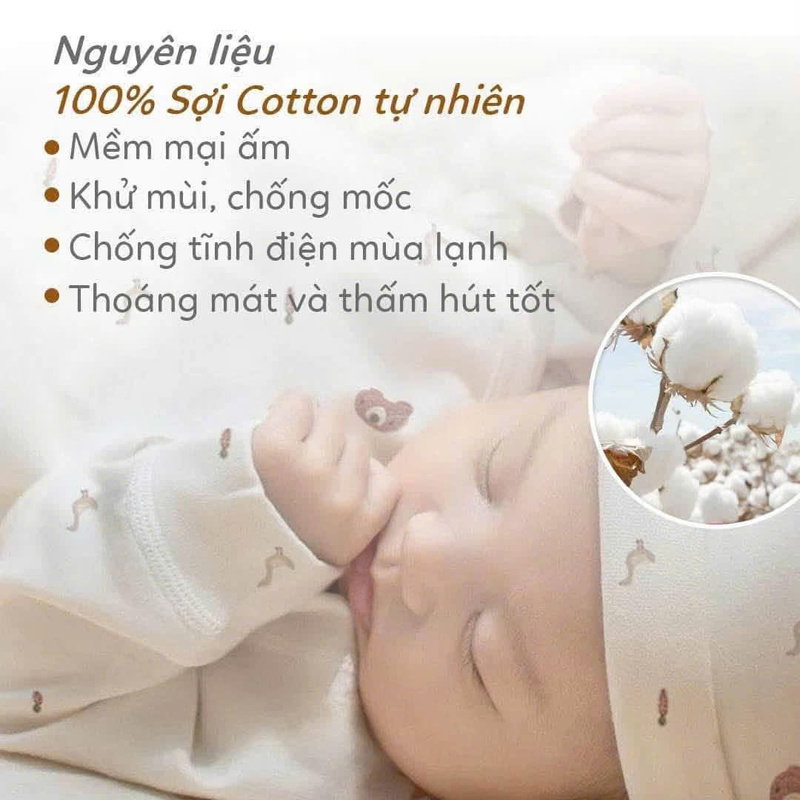 Cotton fabric