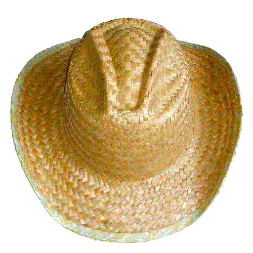 Vietnamese Leaf Hat
