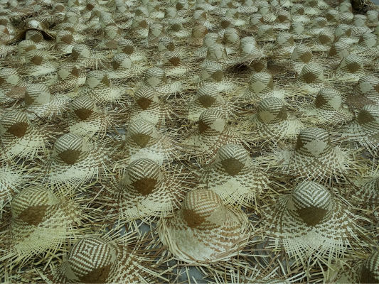 Vietnamese Leaf Hat