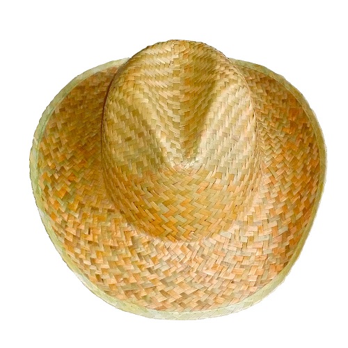 Vietnamese Leaf Hat