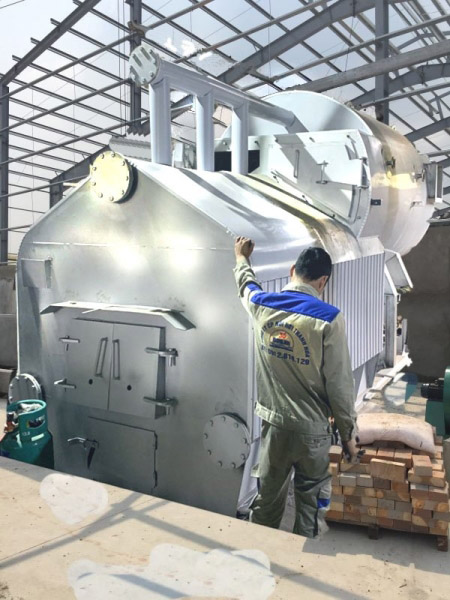 Multi fuel boiler