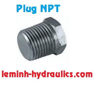 Plug NPT