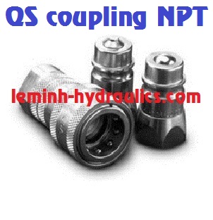 QS coupling NPT