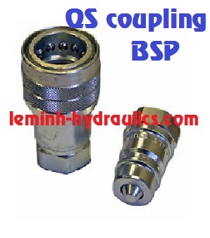 QS coupling