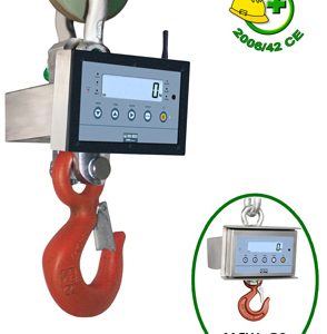 Hanging scale