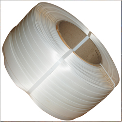 Plastic Cord Strap