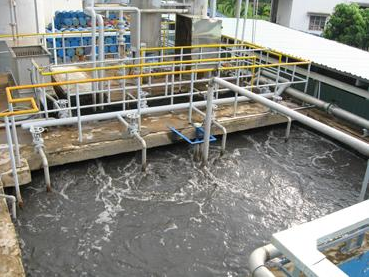 Food processing wastewater treatment