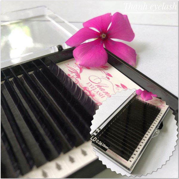 False Eyelashes