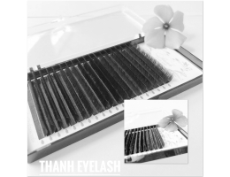 False Eyelashes