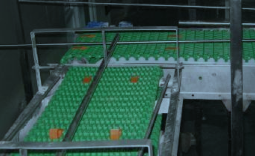 Plastic conveyors