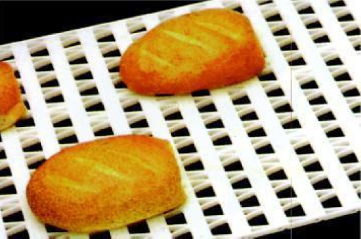 Plastic conveyors