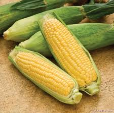Corn