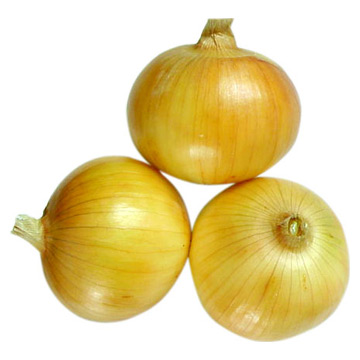 Onion