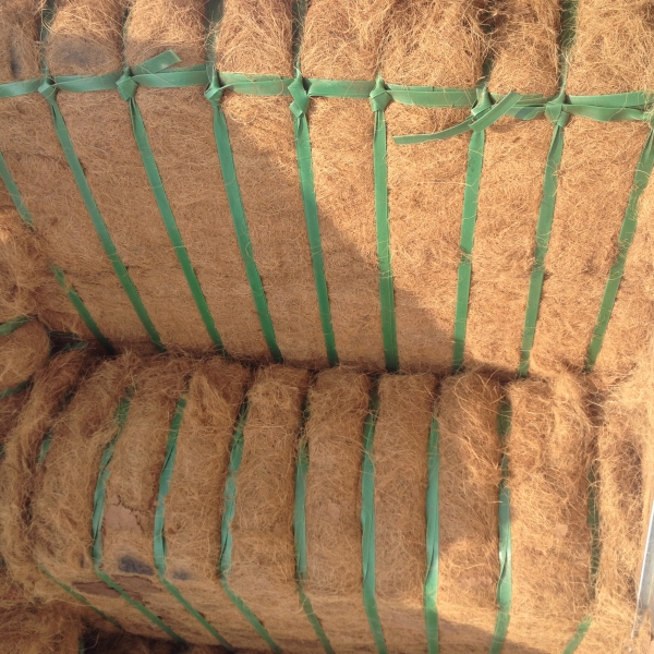 Coconut fiber