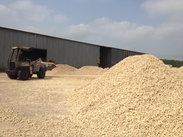 Corn cob material