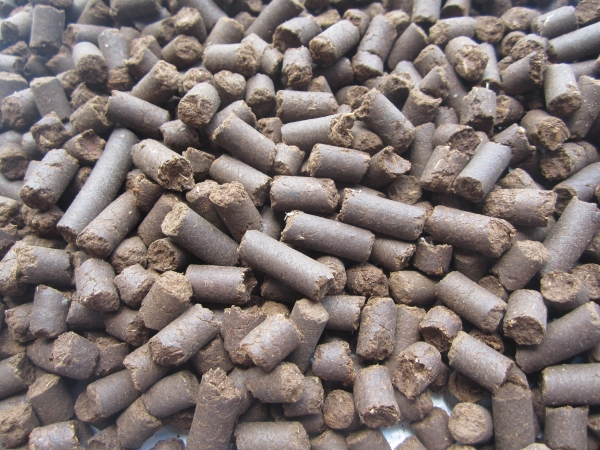 Fermented bagasse pellet