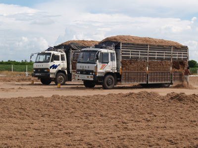 Bagasse material transporting