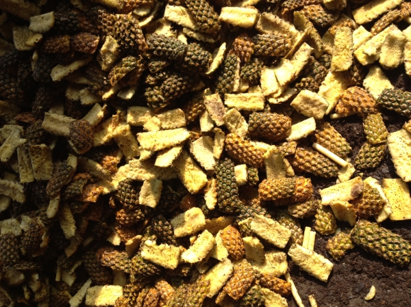 Pine apple material