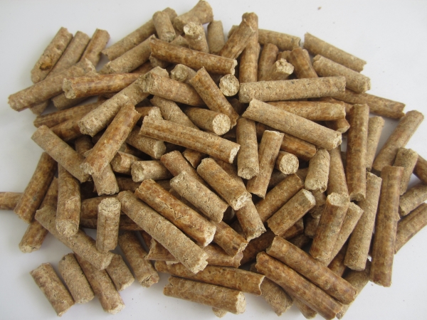 Tapioca pellet