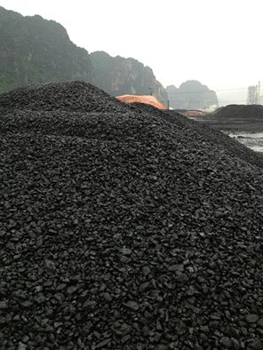 Quang Ninh Coal