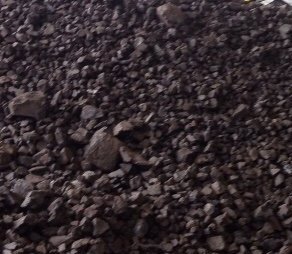 Indo Coal