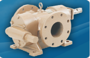Rotary gear pumps