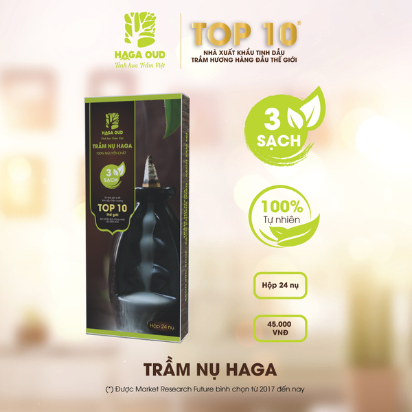 HAGA agarwood incense cone
