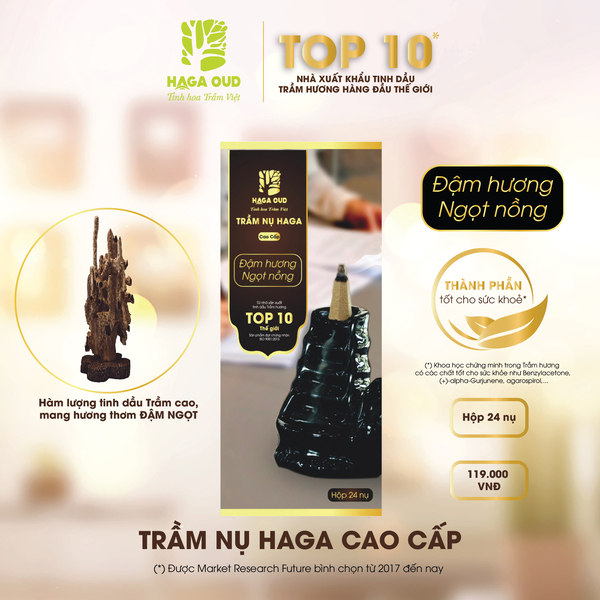 HAGA agarwood incense cone