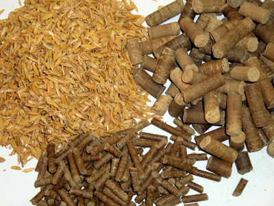 Rice husk briquettes