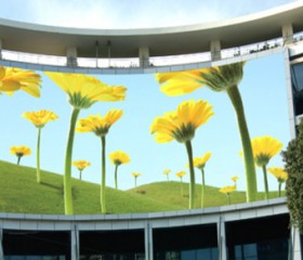 500-inch Curved Led Screen