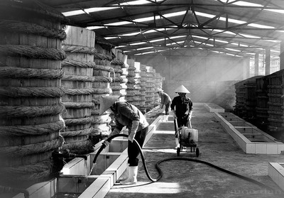 Factory