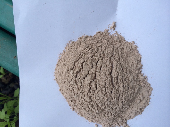 Feed Additive