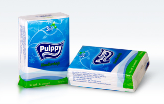 Paper towel