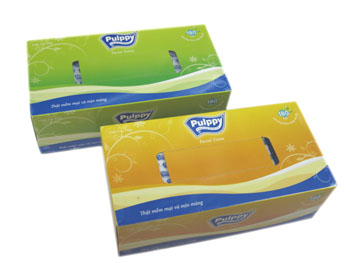 Paper towel