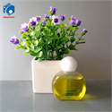 Colored PET bottles