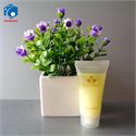 Shampoo plastic tube