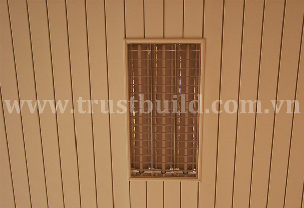 Ceiling construction services