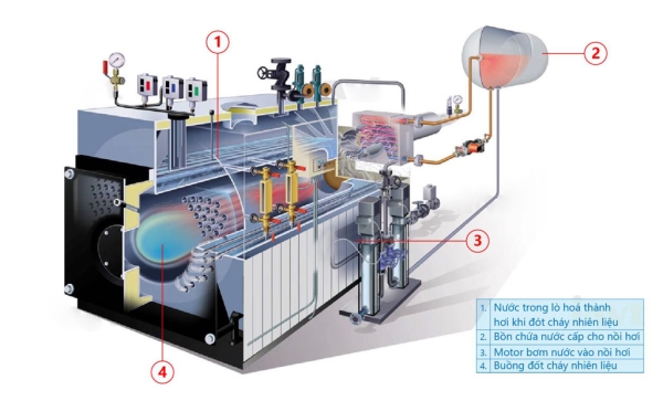 Boiler maintenance-Thermal network