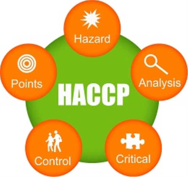 HACCP Consultancy Service