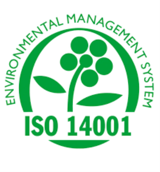 ISO 14001 Consultancy Service