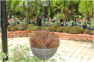 Bamboo and rattan product